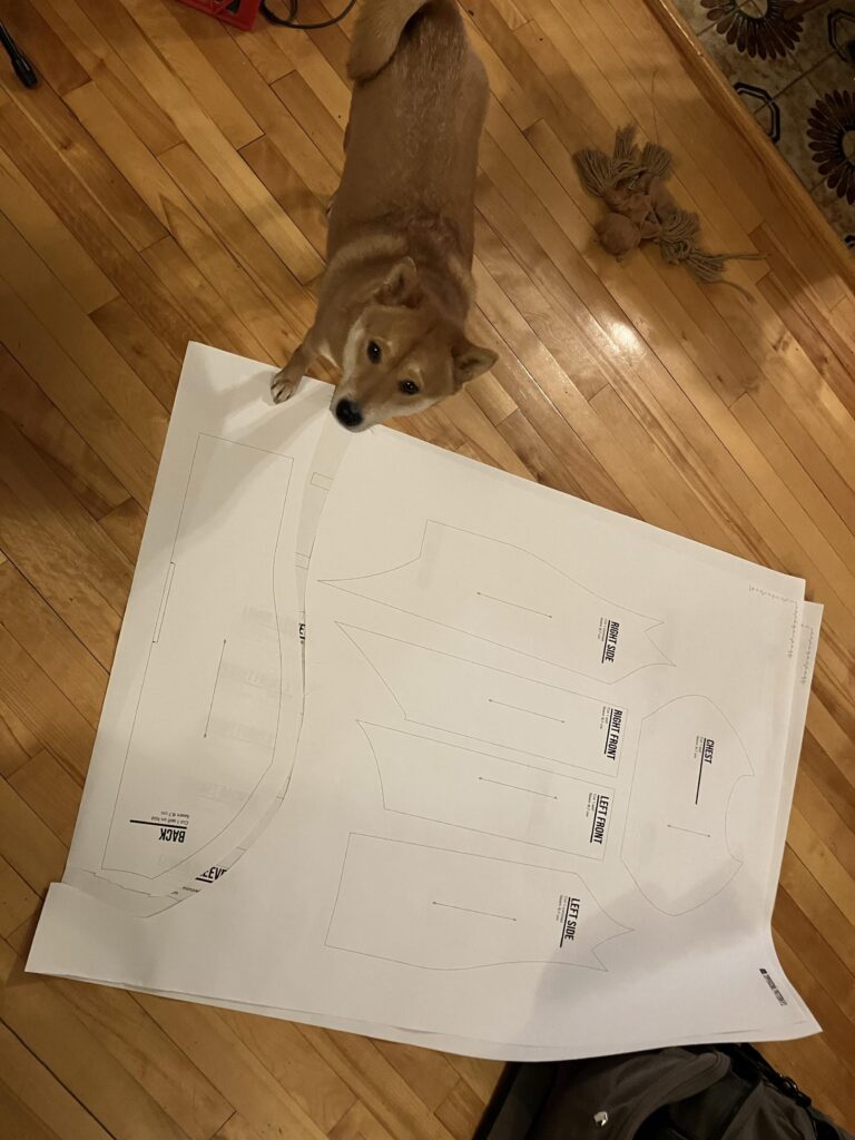 A Shiba Inu with one paw on the paper pattern, looking up at the camera